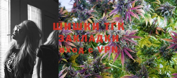Альфа ПВП Магас
