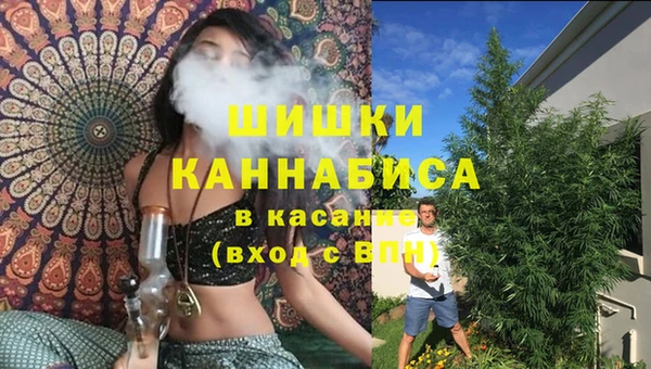 гашик Магадан